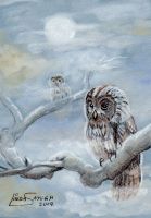 Owls in the Fog